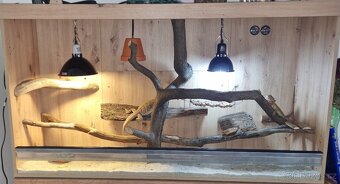 Terarium zlaty Dub 150cm - 5