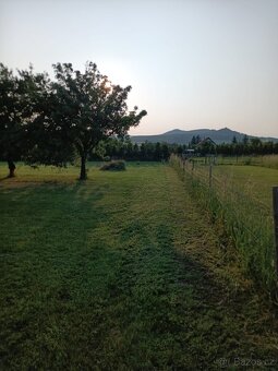 Pronajmu zahradu v Podsedicích, okr.Litoměřice - 5