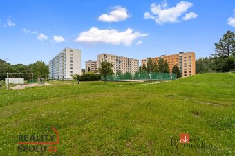 Prodej, byty/4+1, 90 m2, Sněženková 502, Horní Staré Město, - 5
