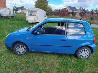 Lupo - 5