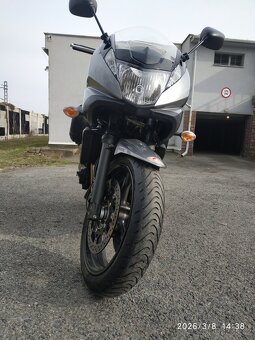 Suzuki Gsf 650  2011 - 5