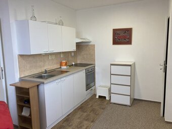 Pronájem 2+kk, terasa s výhledem na Labe, nábřeží Závodu mír - 5