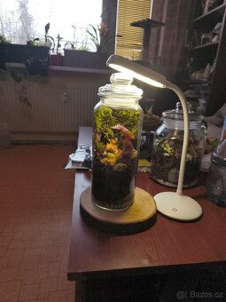 Prodej lesu ve sklenici - 5