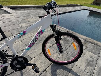 Horské kolo 24” Cygnus - 5