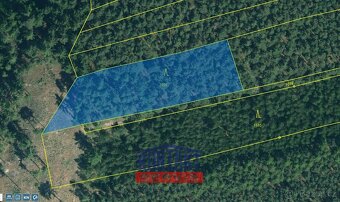 Prodej unikátních lesních pozemků v katastrálním území Hodyn - 5