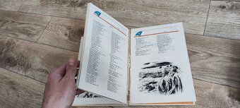 Kniha Ohnivé znamení, Jaroslav Foglar, Rychlé šípy - 5