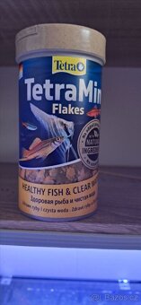 🐠 Prodám 2 kompletně zařízená akvária s rybičkami – 40 l 🐠 - 5