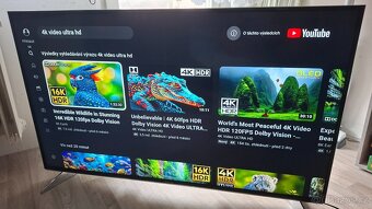 Smart Televize Panasonic 4K Ultra HD 139 cm - 5