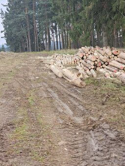 Drevo .Pila lom u tachova - 5