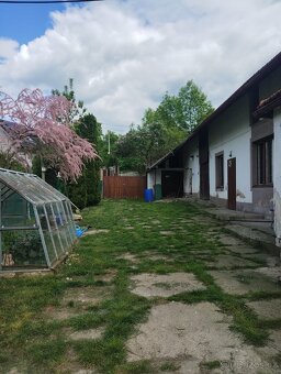 Dům k pronájmu ve Vinicích 🍇 - 5