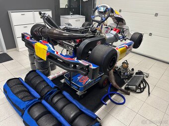 motokára ROK GP MS BLUE PHOENIX + motor - 5
