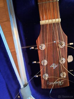 Akusticka Kytara IBANEZ AW 50 - 5
