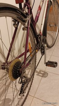 Dámské kolo Author - 5