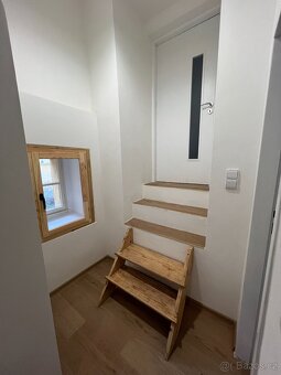 Pronájem bytu 3+KK - 5