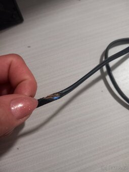 Elektrická kvočna - 5