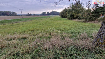 Prodej stavebního pozemku ve Cvrčovicích - 5