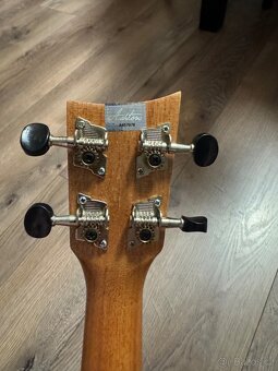 Ukulele Ashton UKE500 CMA - 5