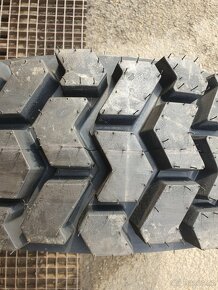 Kola UNC - Locust - 5