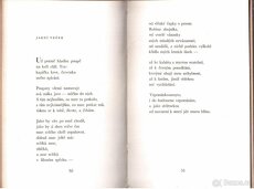 NESMÍRNÝ KRÁSNÝ ŽIVOT - 5