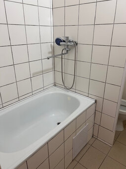 Pronájem bytu 1+1 v Kroměříži - 5