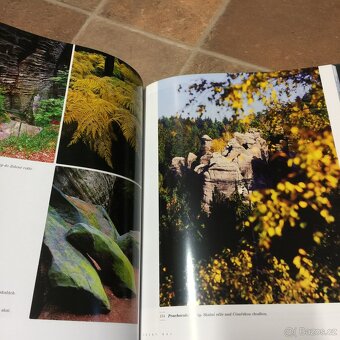 Východní Čechy Královéhradecký kraj foto kniha - 5