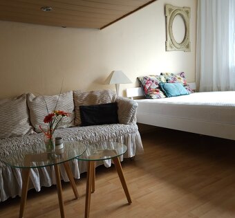 Prodej bytu 1+1, 34,8 m2,Hradec Králové u Duranu - 5