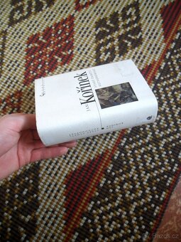 Staré paměti kutnohorské ( rozfoceno 7 snímků ) - 5