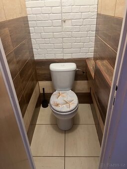Pronájem bytu 2+1 Karviná-Ráj - 5