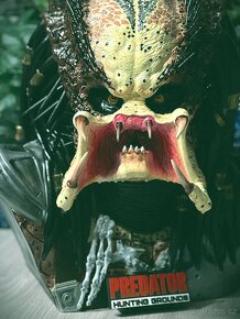 Predator Jungle hunter busta 1/1 no Sideshow - 5