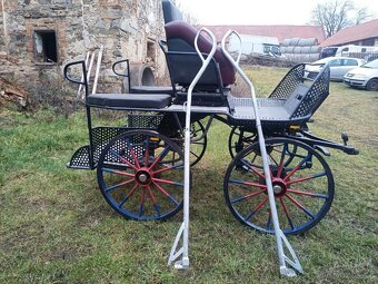 Maratoňák - jednospřeží, pony , koně - 5