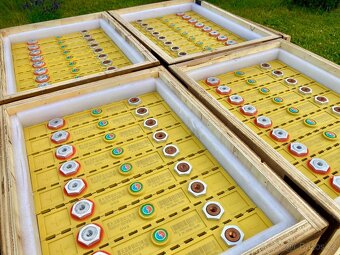 LiFePO4 baterie Winston 260Ah, 300Ah, 400Ah (Nové) - 5