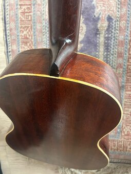 Martin Coletti G40 Masiv - 5