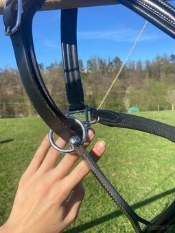 Kožená ohlávka Equestro černá vel. FULL - 5
