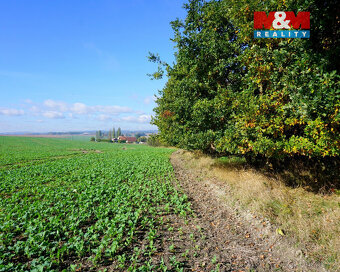 Prodej pozemku k bydlení, 3689 m², Třebeň - 5