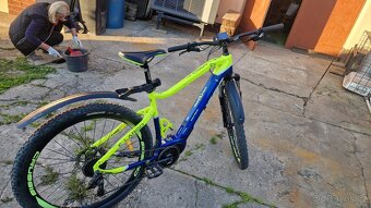 Prodám Crussis - 5