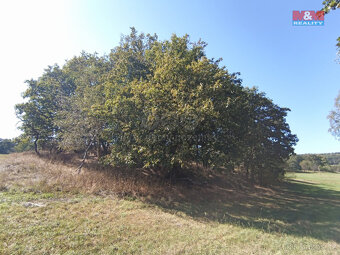Prodej ostatní, 3069 m², Blatno - 5