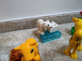 LEGO Duplo 4962 Baby Zoo - 5