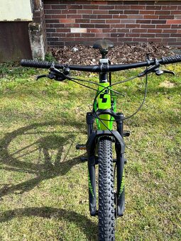 Cube Reaction  RACE 29 19” - 5