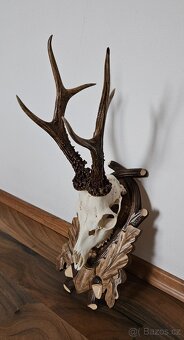 Lovecké trofeje - 5