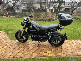 Benelli Leoncino 500 - 5