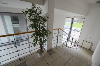 Pronájem kancelářských prostor 28 m², Havířov - 5