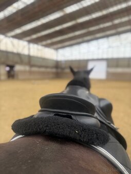 Sedlo Kentaur Apollon - 5