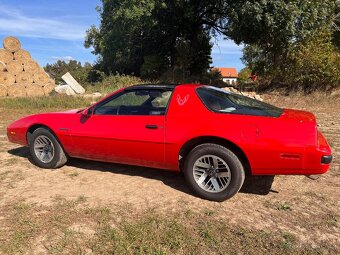 Pontiac Firebird 5.0 V8 Targa 1989 - 5