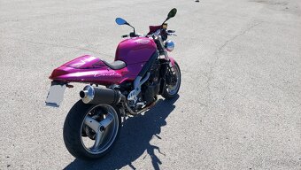 Speed Triple 955i - 5