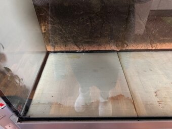 Prodám akvárium cca 500 l včetně kovové konstrukce - 5