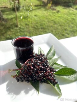 Čerstvý domácí bezinkový likér - 5