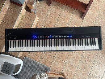 Orla Stage Talent. - 5