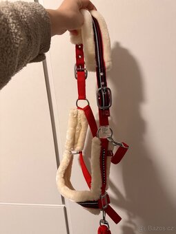 Ohlávka s vodítkem - 5