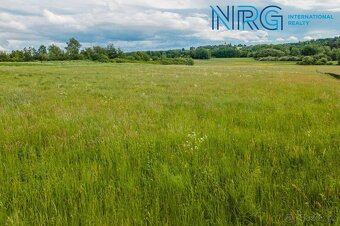 Prodej pozemku, 12123 m2, Týnec u Plané, Planá u Mariánských - 5