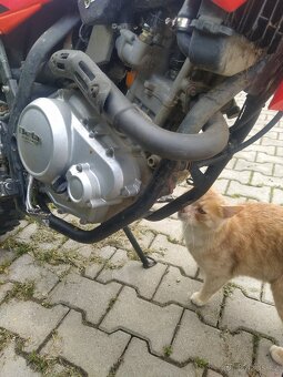 Beta rr 125 2018 - 5